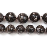 Turritella Agate, бусина шарик 15мм